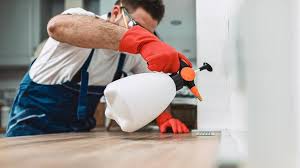 Best Pest Exclusion Services  in Interlaken, CA